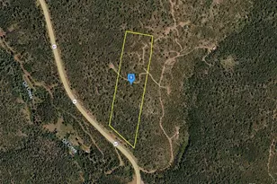 13100 CO-67, Cripple Creek, CO 80813 - Photo 1