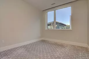 250 N Columbine Street, Denver, CO 80206 - Photo 9