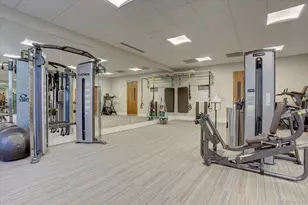 250 N Columbine Street, Denver, CO 80206 - Photo 23