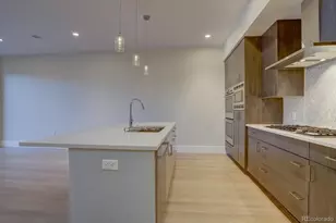 250 N Columbine Street, Denver, CO 80206 - Photo 3