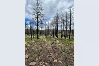 533 Leslie Loop, Fort Garland, CO 81133 - Photo 7