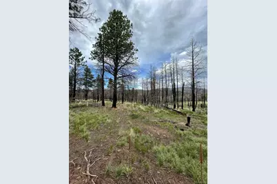 533 Leslie Loop, Fort Garland, CO 81133 - Photo 1