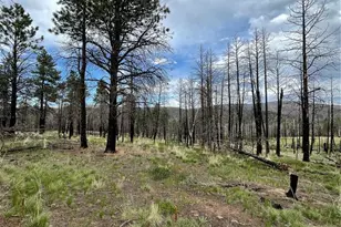 533 Leslie Loop, Fort Garland, CO 81133 - Photo 1