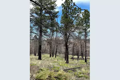 533 Leslie Loop, Fort Garland, CO 81133 - Photo 11