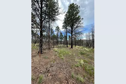 533 Leslie Loop, Fort Garland, CO 81133 - Photo 3