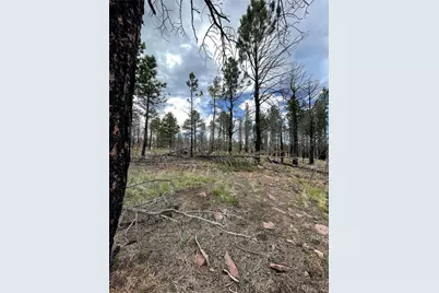 533 Leslie Loop, Fort Garland, CO 81133 - Photo 9