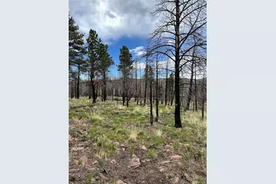 533 Leslie Loop, Fort Garland, CO 81133 - Photo 5