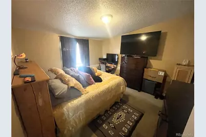 2635 Pheasant Street, Denver, CO 80260 - Photo 13