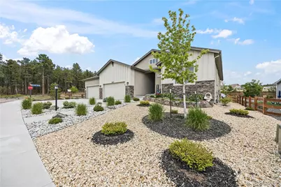 16297 Forest Cloud Way, Monument, CO 80132 - Photo 49