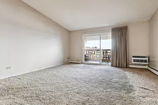 665 S Alton Way, Denver, CO 80247 - Photo 9