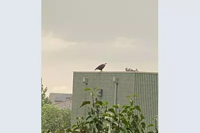 15975 Longford Drive, Parker, CO 80134 - Photo 7