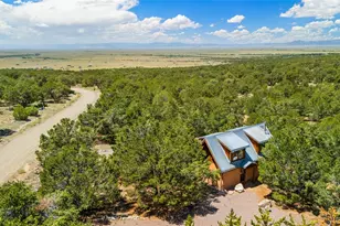 4288 Fallen Tree, Crestone, CO 81131 - Photo 49