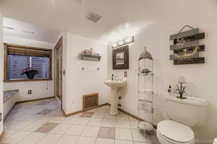 17052 Motsenbocker Way, Parker, CO 80134 - Photo 29