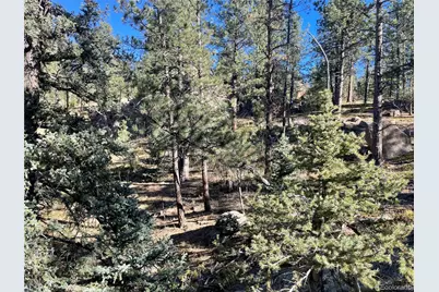 Shadow Mountain Drive, Conifer, CO 80433 - Photo 3