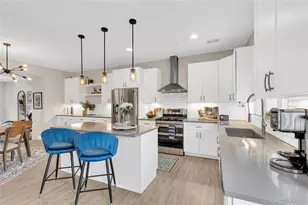 248 Clementina St, Louisville, CO 80027 - Photo 7