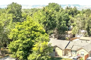4373 Moore St, Wheat Ridge, CO 80033 - Photo 7