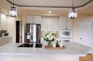 9041 Kittiwake St, Littleton, CO 80126 - Photo 15