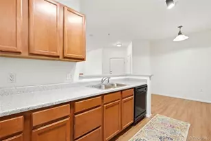 10733 S Twenty Mile Rd, Parker, CO 80134 - Photo 11
