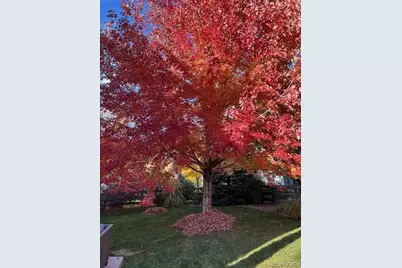 1109 Zodo Avenue, Erie, CO 80516 - Photo 49