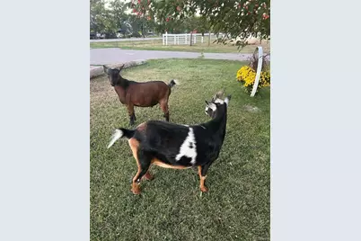 5948 King Court, Parker, CO 80134 - Photo 43