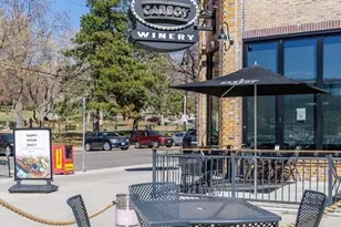1130 N Pennsylvania Street, Denver, CO 80203 - Photo 17