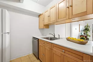 777 N Washington Street, Denver, CO 80203 - Photo 9
