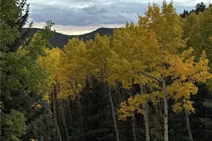 160 Meadowlark Dr, Evergreen, CO 80439 - Photo 3