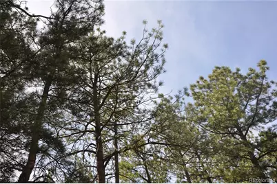 Wood Sorrel Rd, Larkspur, CO 80118 - Photo 1