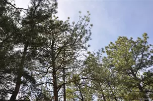 Wood Sorrel Rd, Larkspur, CO 80118 - Photo 1