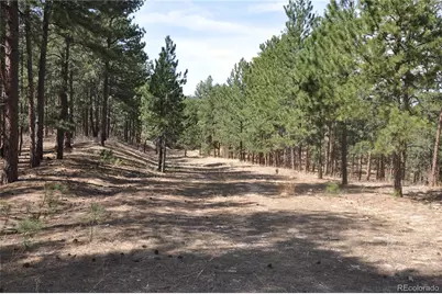 Wood Sorrel Rd, Larkspur, CO 80118 - Photo 7