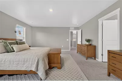 14225 Purple Aster Way, Parker, CO 80134 - Photo 17