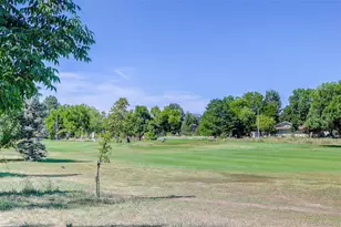 114 E 14th Ct, Broomfield, CO 80020 - Photo 29