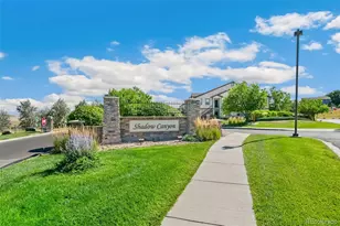4605 Copeland Loop, Highlands Ranch, CO 80126 - Photo 25