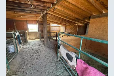 10025 Milne Road, Colorado Springs, CO 80928 - Photo 27