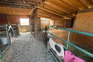 10025 Milne Rd, Colorado Springs, CO 80928 - Photo 27