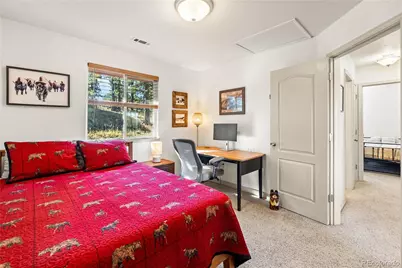 30080 Fir Drive, Evergreen, CO 80439 - Photo 21