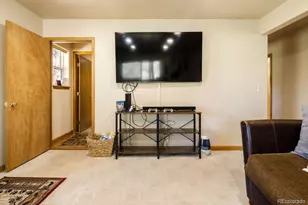163 Buffum St, Bailey, CO 80421 - Photo 29