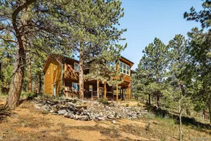 163 Buffum St, Bailey, CO 80421 - Photo 43