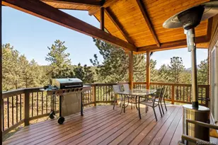 163 Buffum St, Bailey, CO 80421 - Photo 7