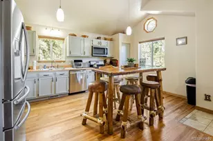 163 Buffum St, Bailey, CO 80421 - Photo 15