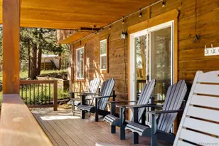 163 Buffum St, Bailey, CO 80421 - Photo 37