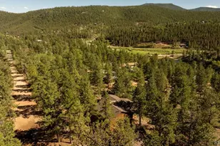 163 Buffum St, Bailey, CO 80421 - Photo 47