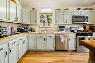 163 Buffum St, Bailey, CO 80421 - Photo 3