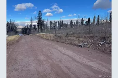 Lot 2544 Petito Drive, Fort Garland, CO 81133 - Photo 7