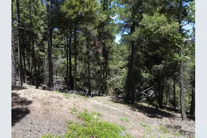 13886 Boulder Lane, Larkspur, CO 80118 - Photo 21