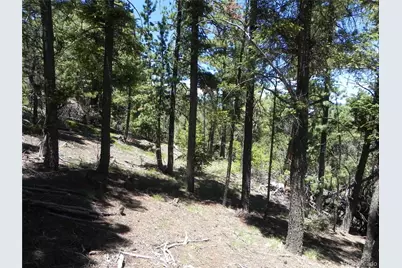 13886 Boulder Lane, Larkspur, CO 80118 - Photo 23