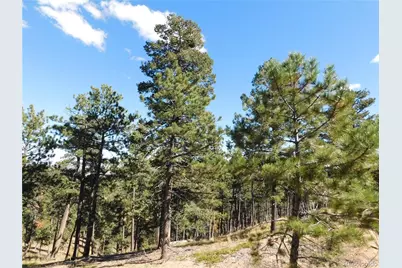 13886 Boulder Lane, Larkspur, CO 80118 - Photo 5