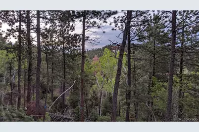 13886 Boulder Lane, Larkspur, CO 80118 - Photo 17