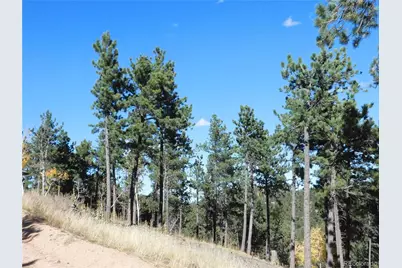 13886 Boulder Lane, Larkspur, CO 80118 - Photo 49