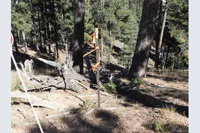 13886 Boulder Lane, Larkspur, CO 80118 - Photo 47